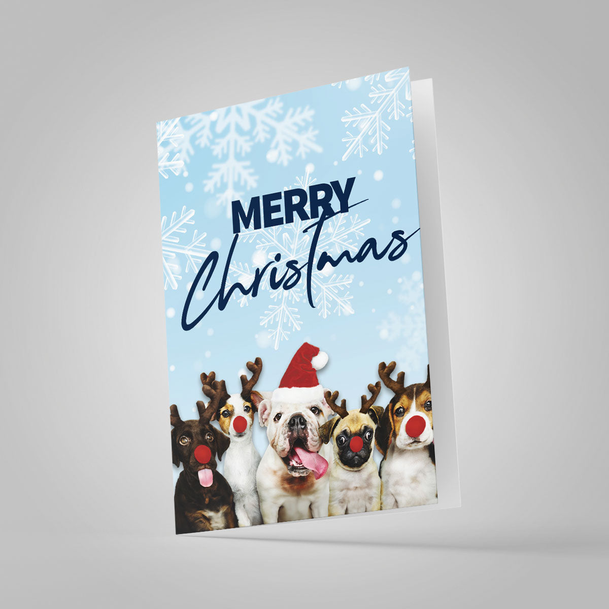 Merry Christmas Puppies