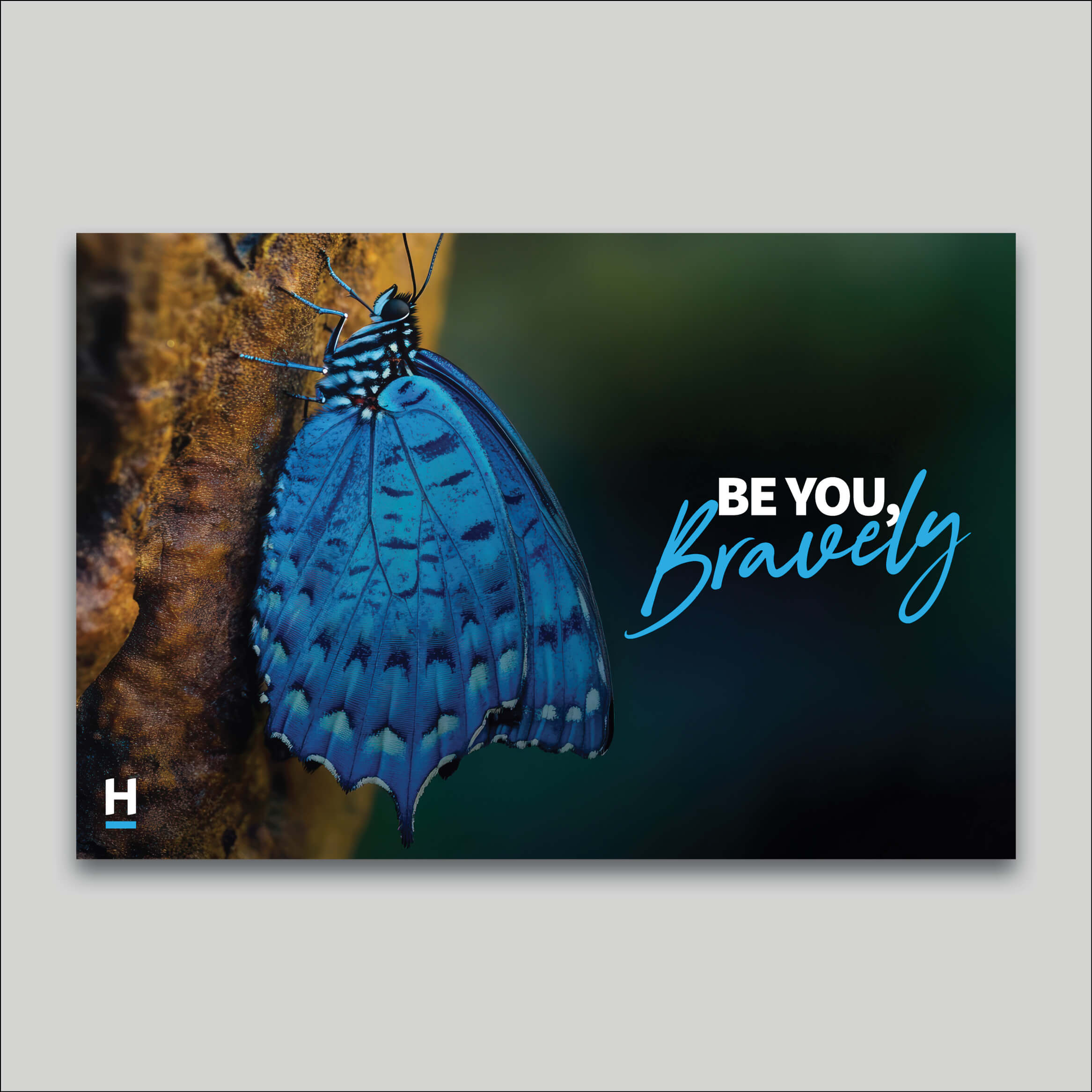 Canvas Print - Harcourts Values