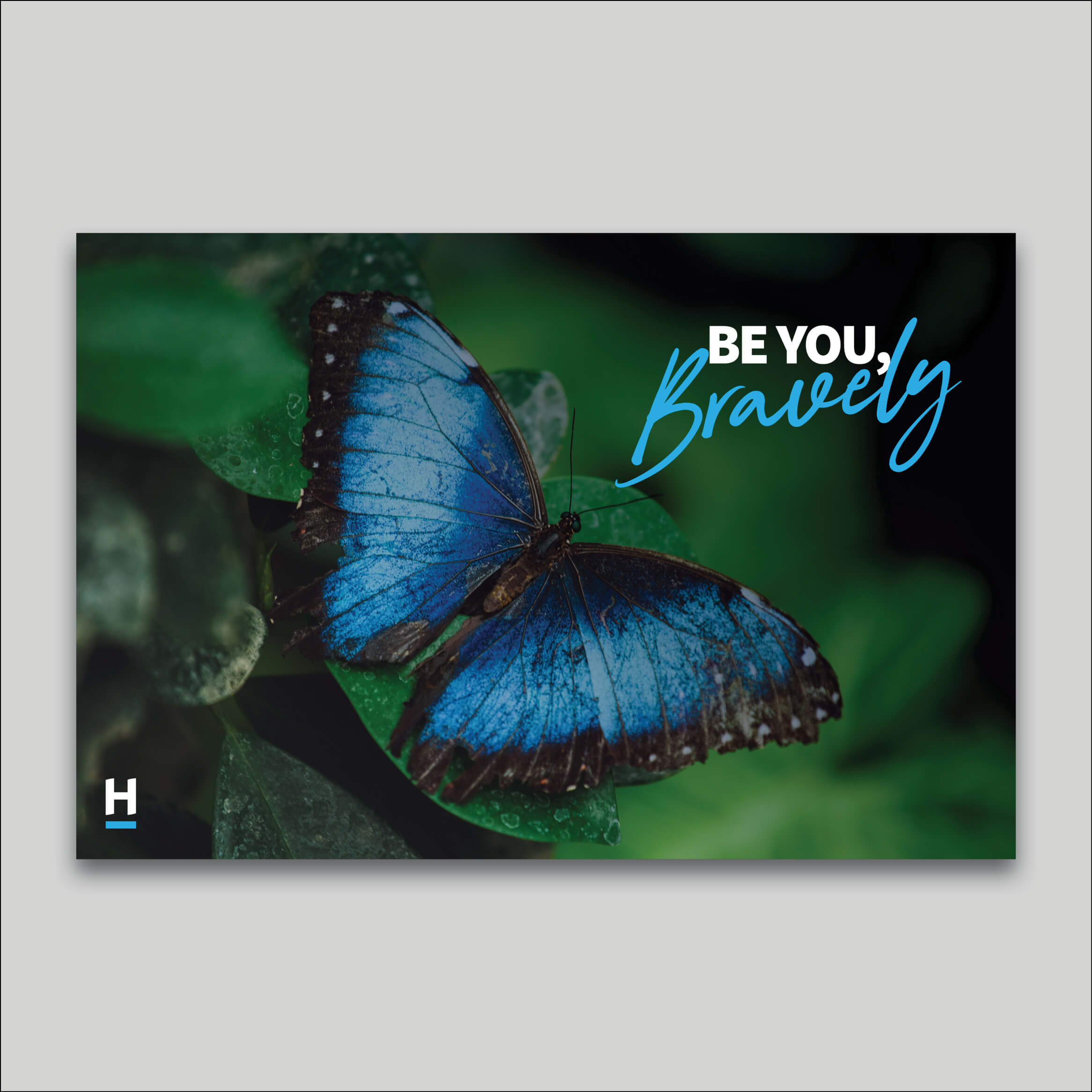 Canvas Print - Harcourts Values