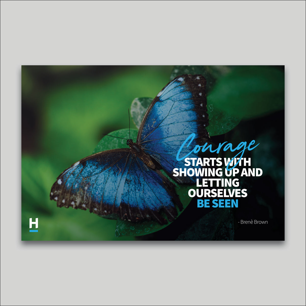 Canvas Print - Harcourts Values