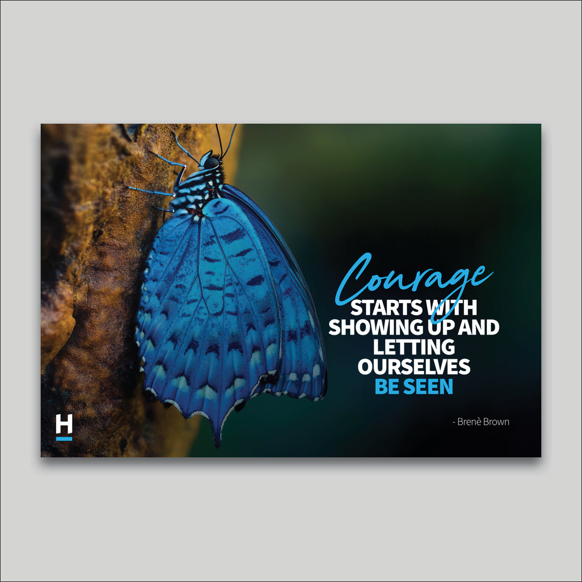 Canvas Print - Harcourts Values