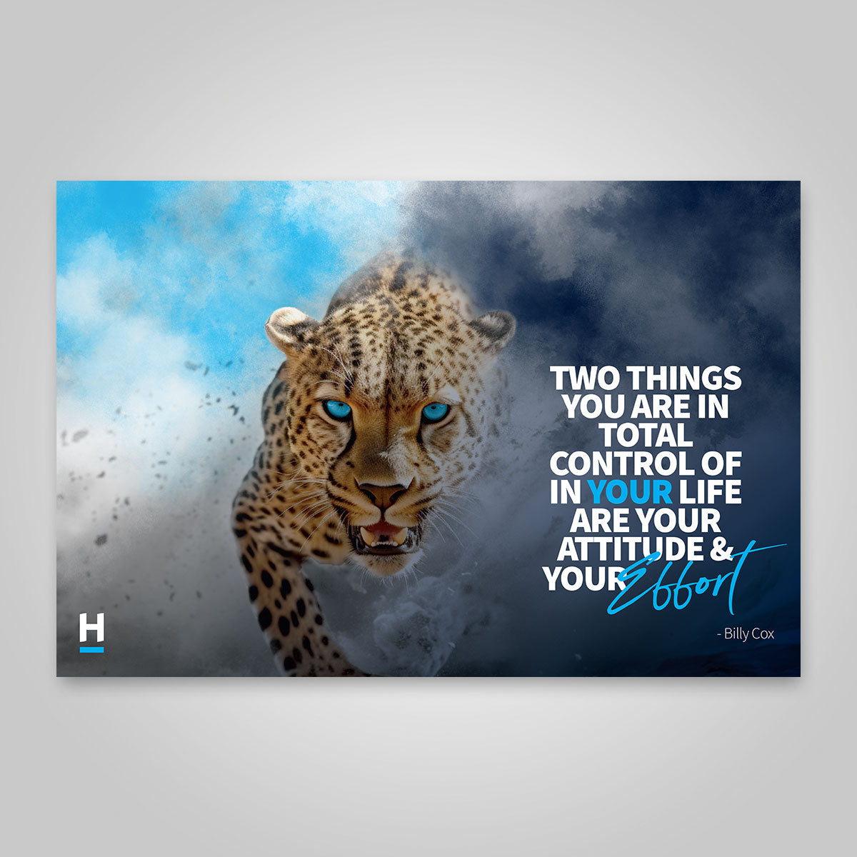 Canvas Print - Harcourts Values